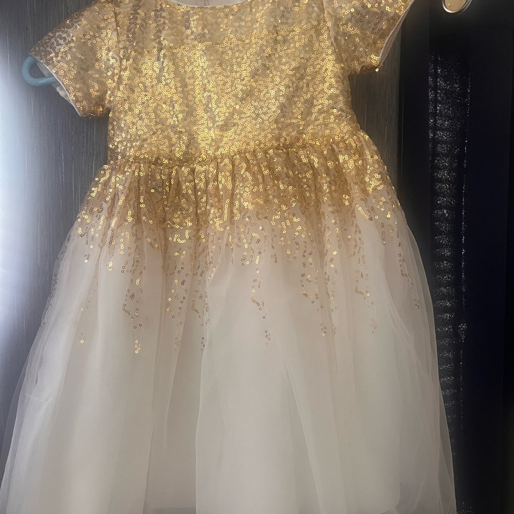 Gold and Cream Sequin Dress